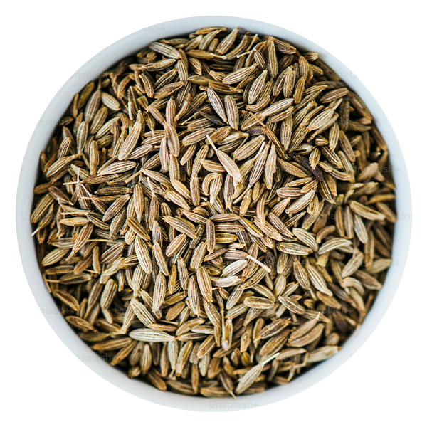 Namaste Export